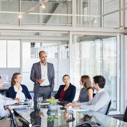 Fractional Leadership Crimson Rook